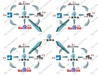 �齫Ӯ�Ƽ���������Ƶ�����ù۲죺�к���óЭ��ǩ������ġ�����������...